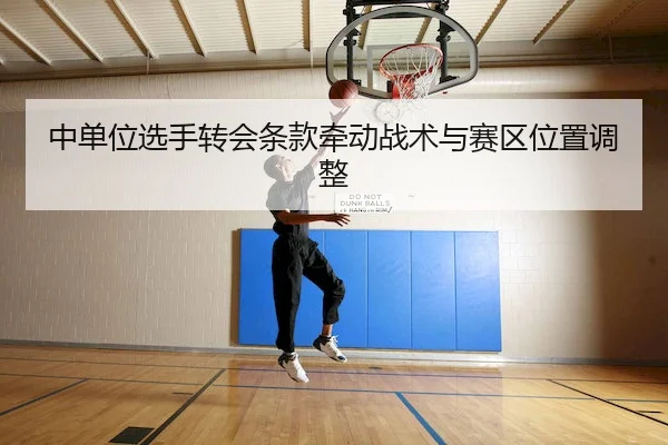 中单位选手转会条款牵动战术与赛区位置调整